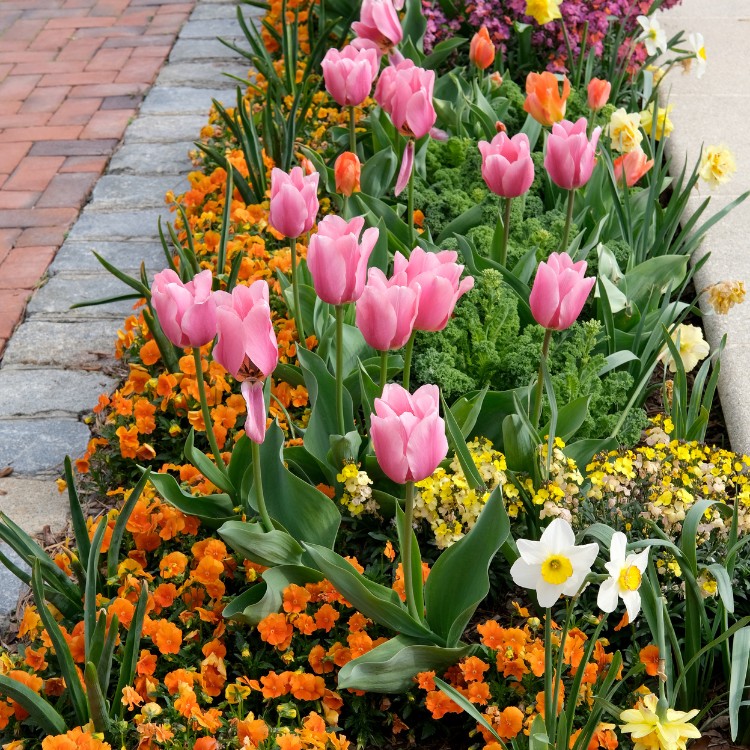 Property maintenance services in Laurel, MD