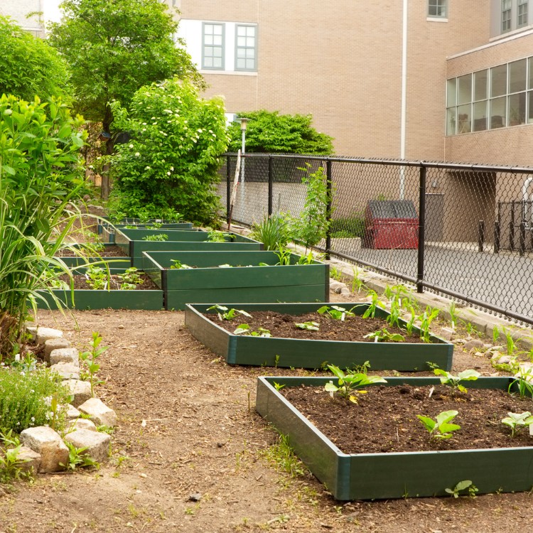 Property maintenance services in Laurel, MD Property maintenance services in Laurel, MD