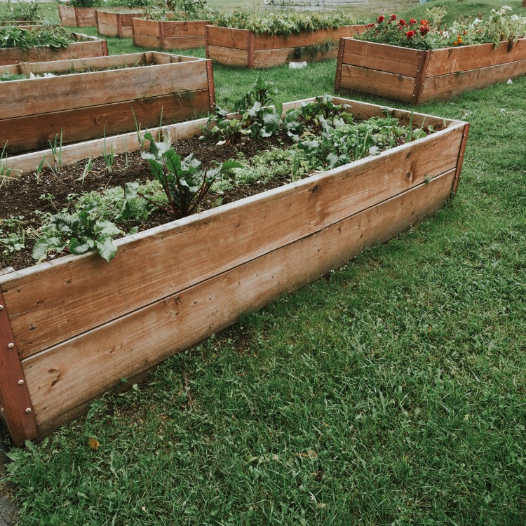 Property maintenance services in Laurel, MD