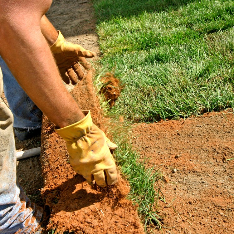 Property maintenance services in Laurel, MD Property maintenance services in Laurel, MD