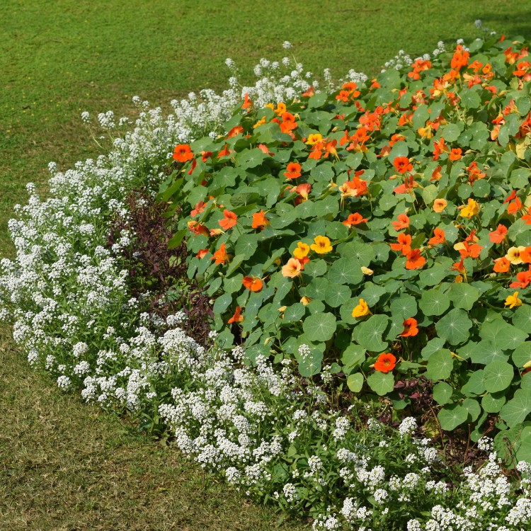 Property maintenance services in Laurel, MD Property maintenance services in Laurel, MD